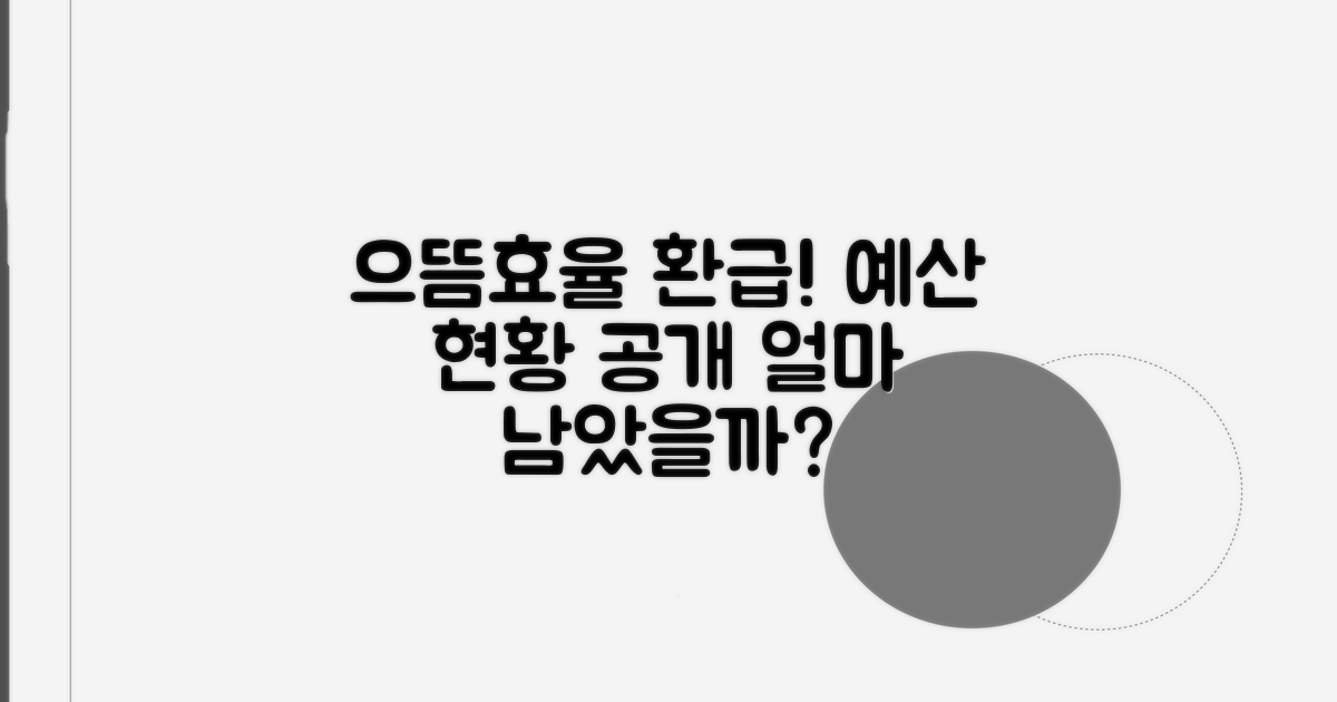 으뜸효율 환급사업 예산 현황