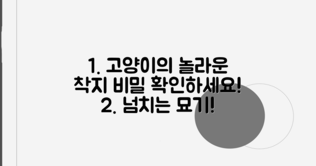 놀라운 고양이 착지 비결