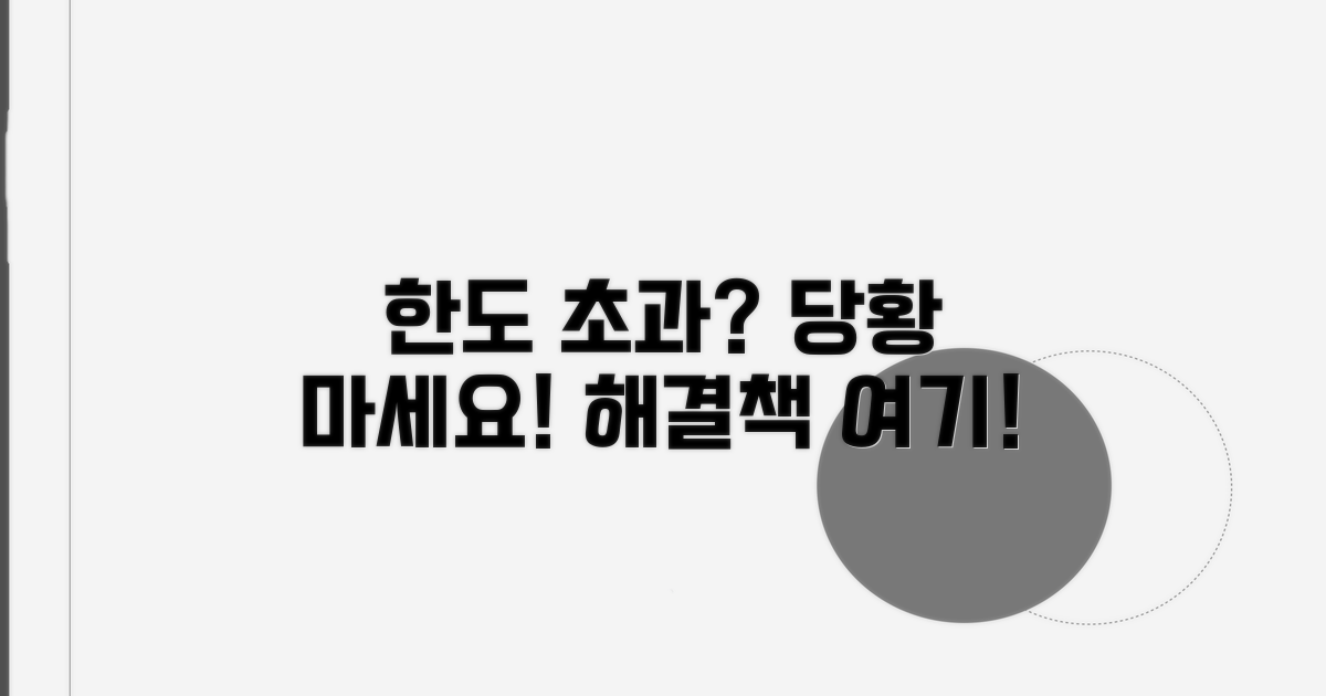 한도 초과 시 대처 방법