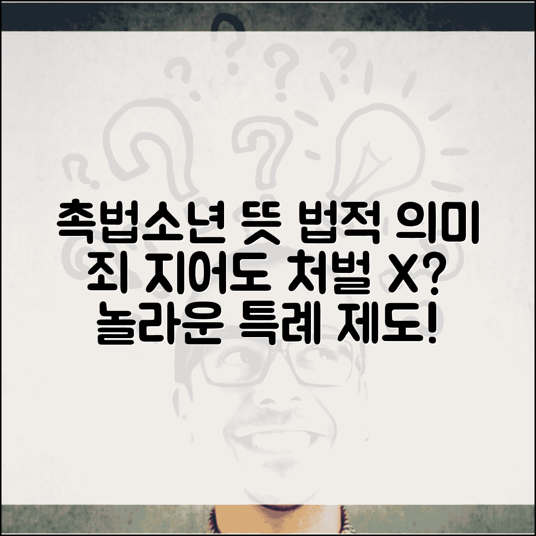 촉법 뜻과 법률적 의미 | 법에 저촉되지만 형사처벌받지 않는 특례 제도 이해