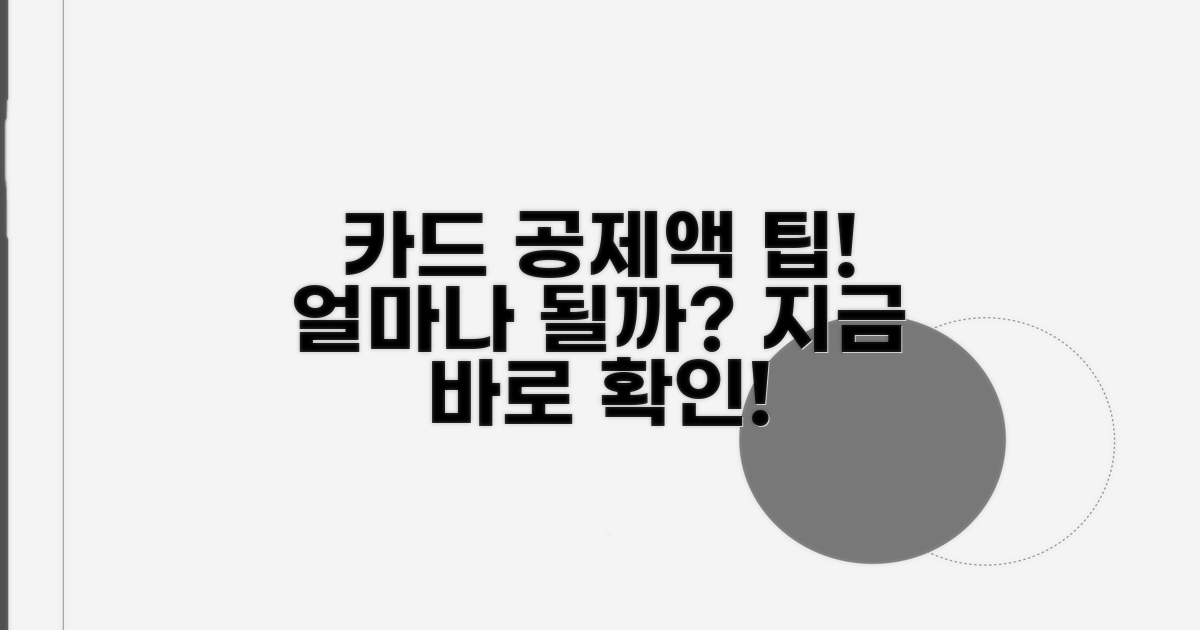 내 카드 사용액 공제액 얼마나 될까?