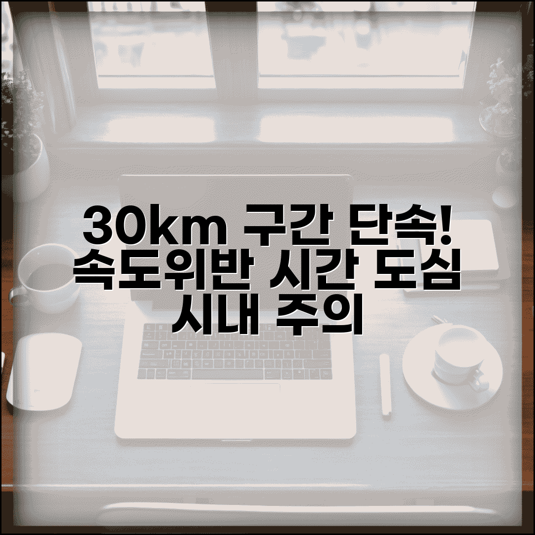 30km 속도위반 단속시간 도심 | 시내 도로 30km 제한 구간 속도위반 단속 시간