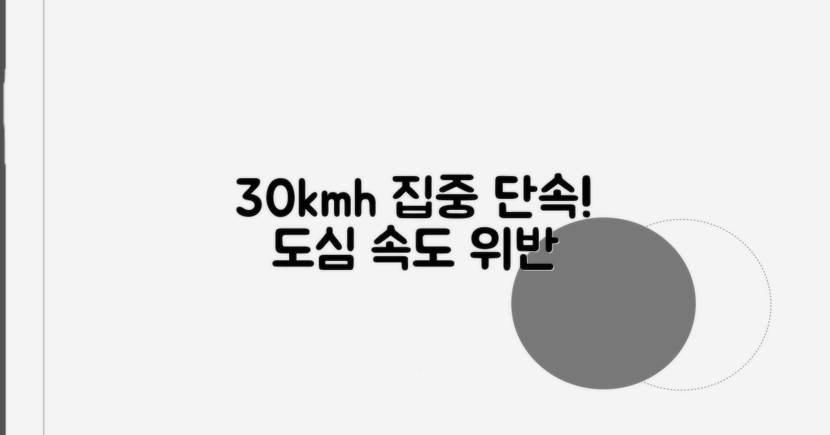 도심 30km 제한 속도 위반 집중 단속