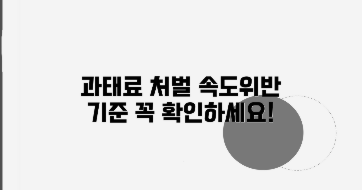 속도위반 과태료 및 처벌 기준