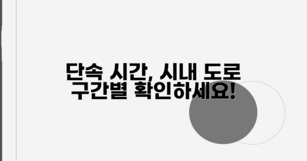 시내 도로 구간별 단속 시간 확인