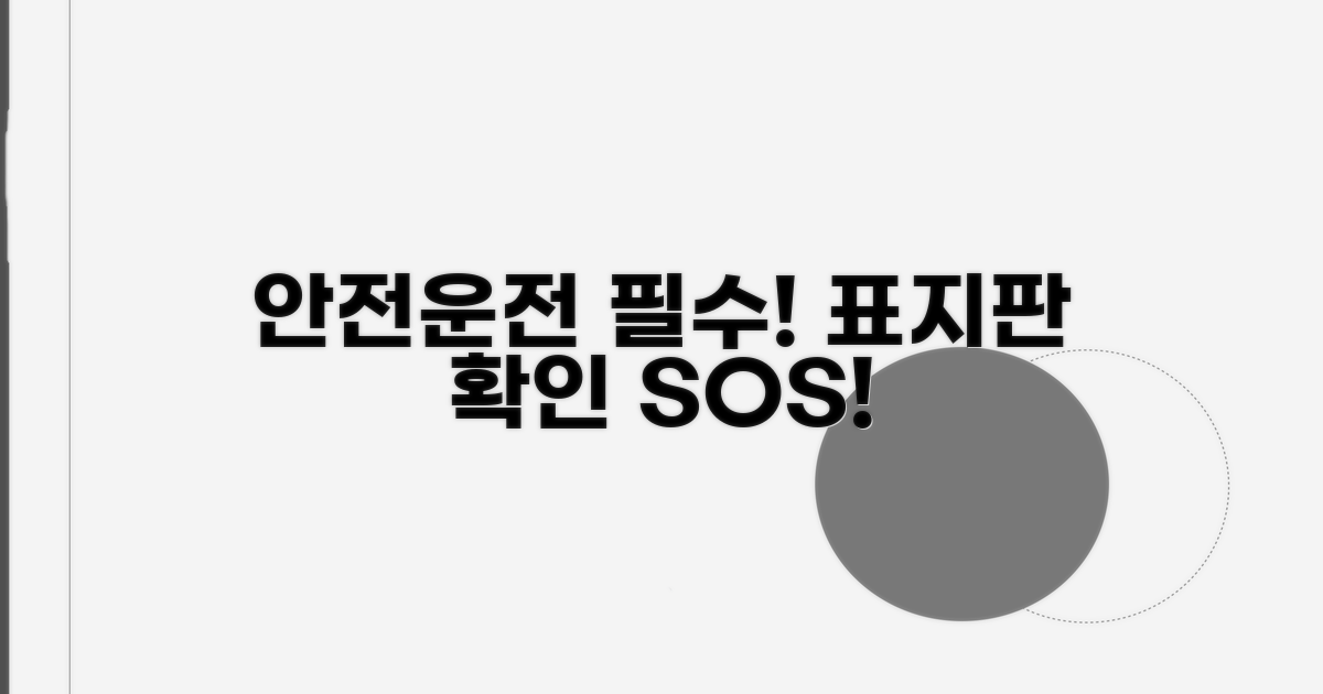 표지판 확인, 안전운전 필수 코스