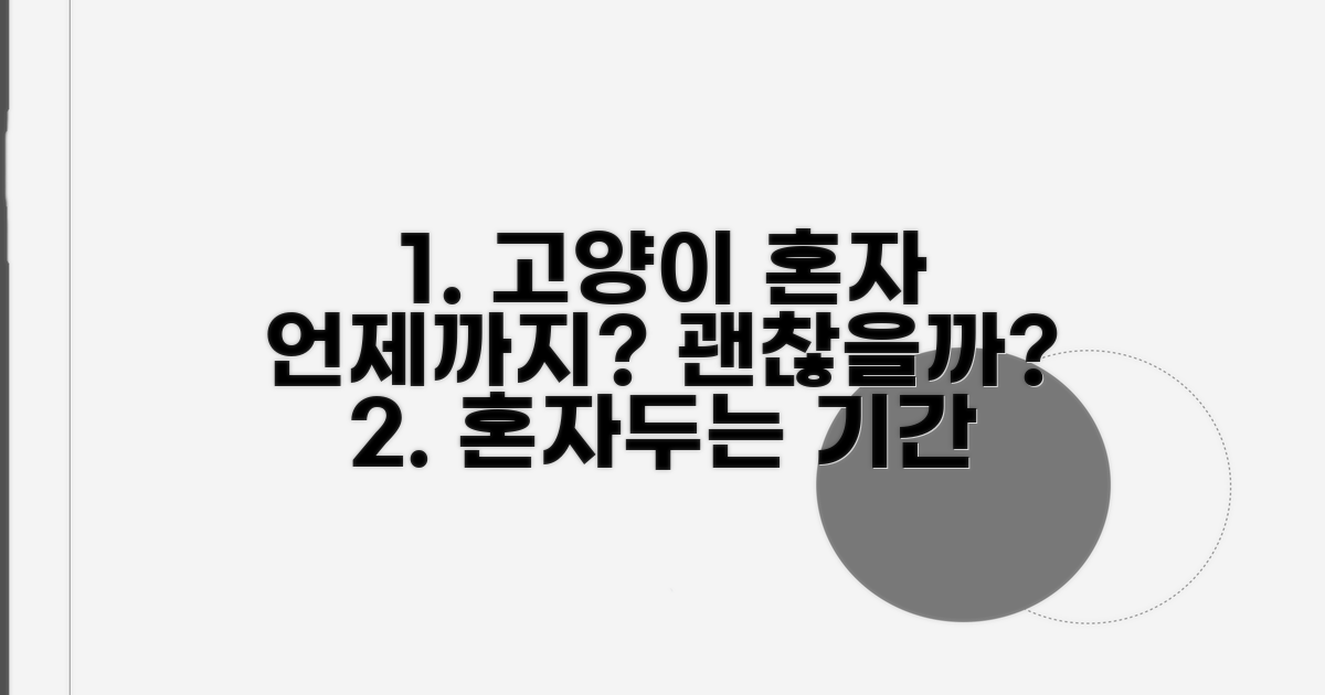 고양이 혼자 두는 기간, 어디까지 괜찮을까?