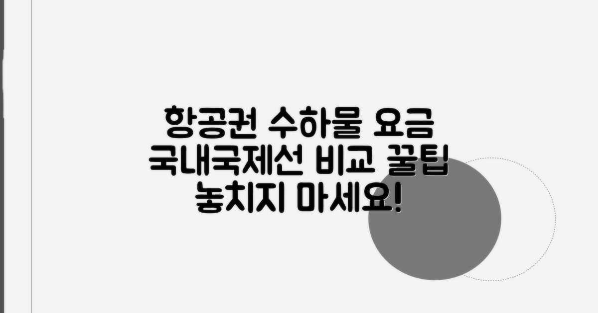 국제선/국내선 항공권 수하물 요금 비교