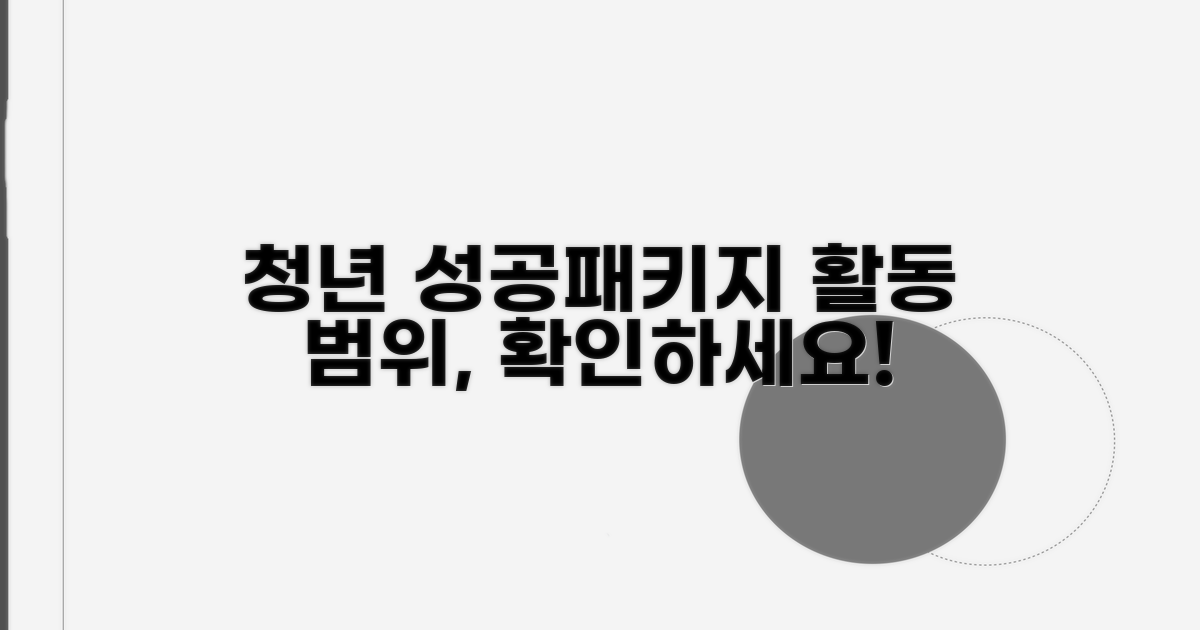 청년 성공패키지 활동 범위
