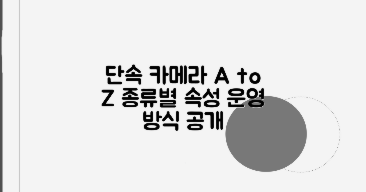 단속 카메라 종류와 운영 방식