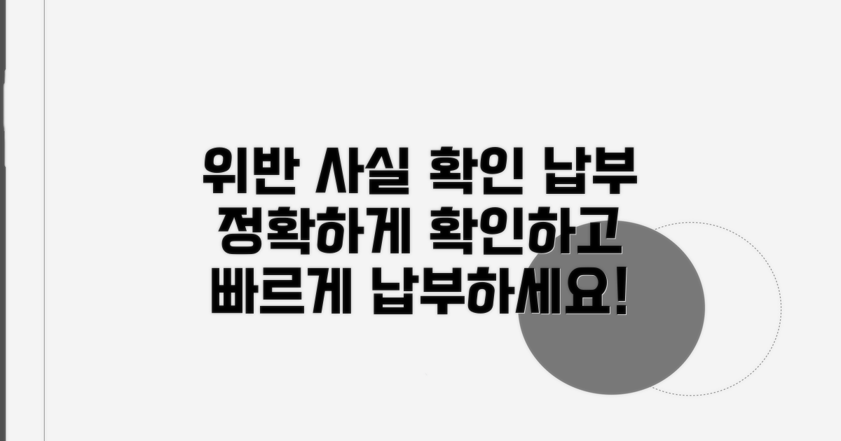 위반 사실 확인 및 납부 방법 안내