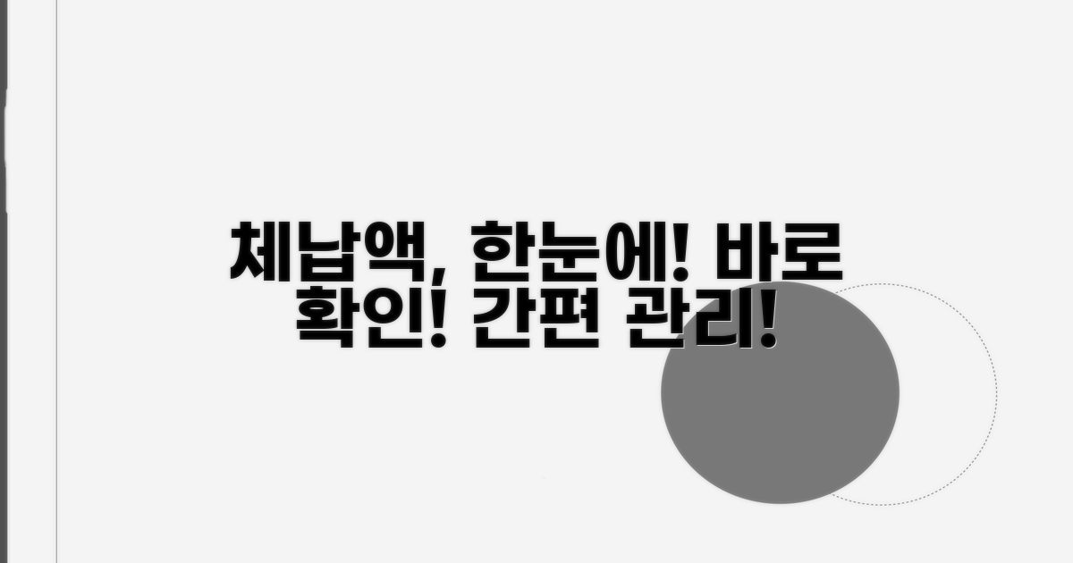 체납액 한눈에 확인하기