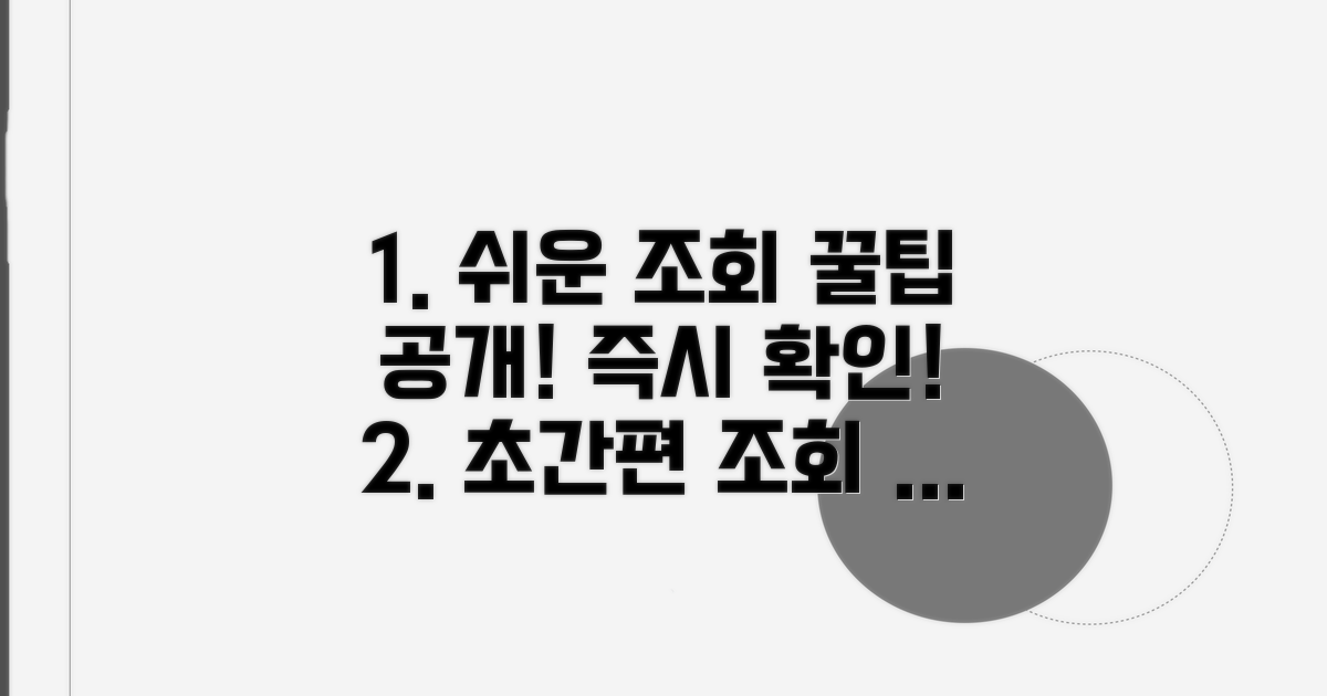 간편 조회 절차 상세 안내