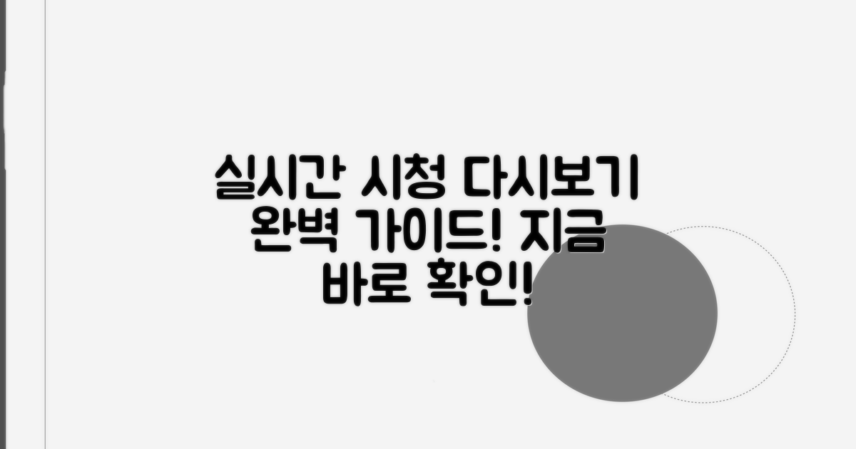 실시간 시청과 다시보기 방법 안내