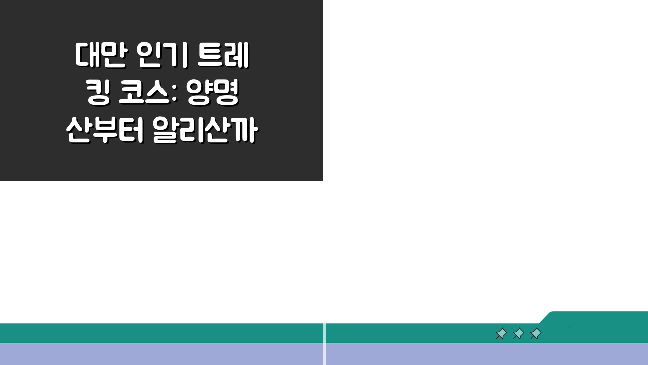 대만 인기 트레킹 코스: 양명산부터 알리산까지 난이도별 완벽 추천